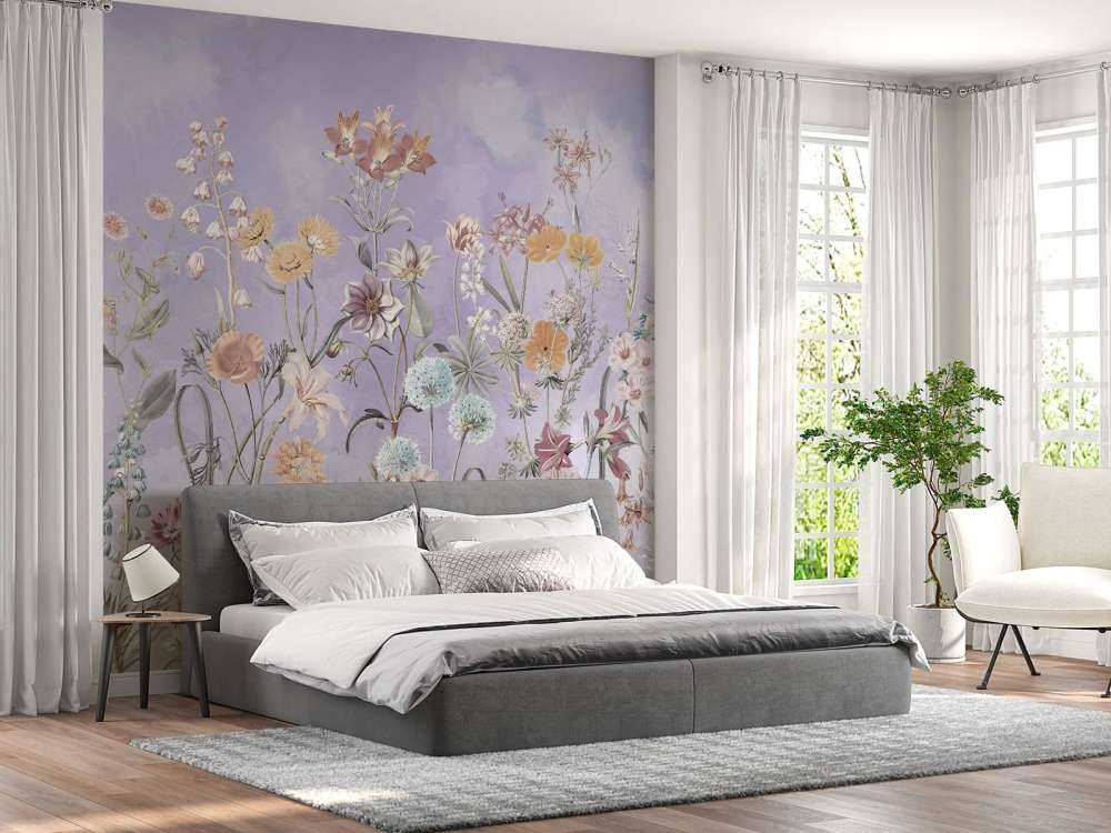 Primula 19
