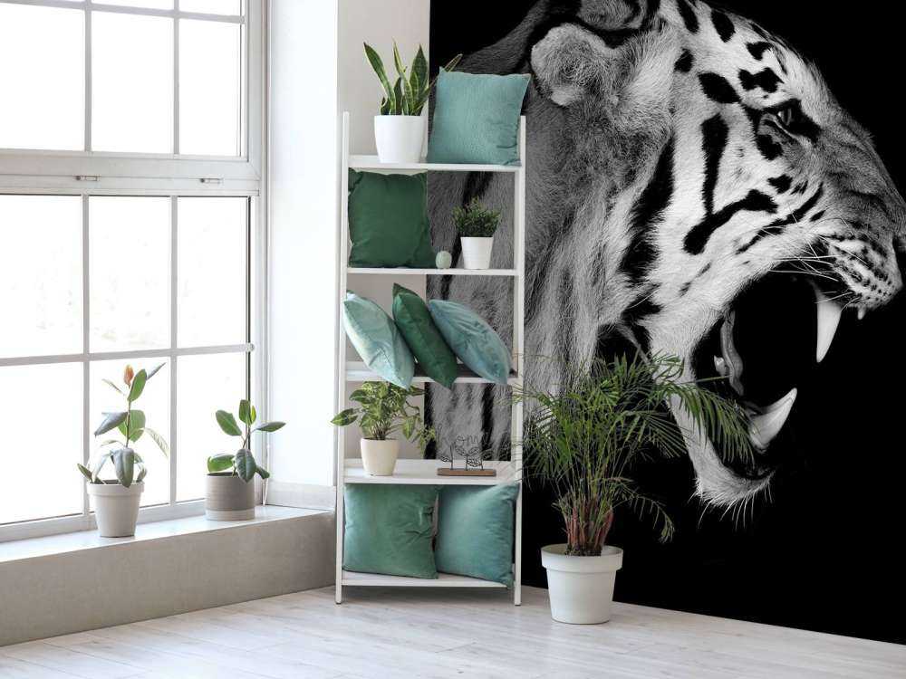 Brüllender Tiger schwarz