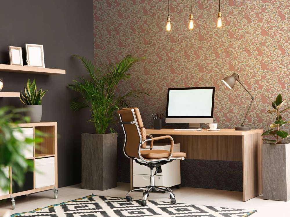 Dazzling Daisy Terra