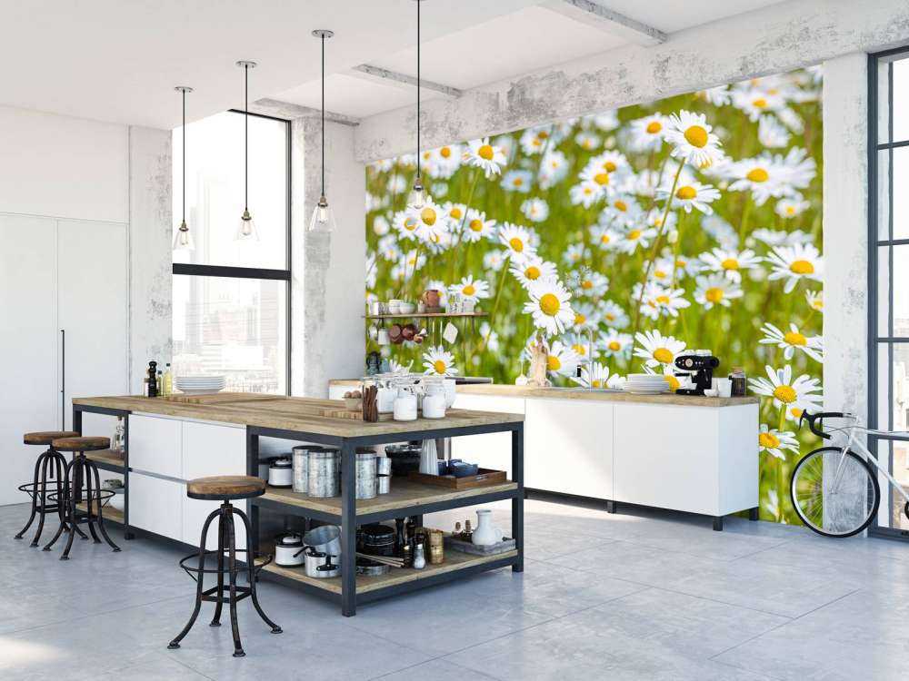 Gänseblümchen auf einem Feld