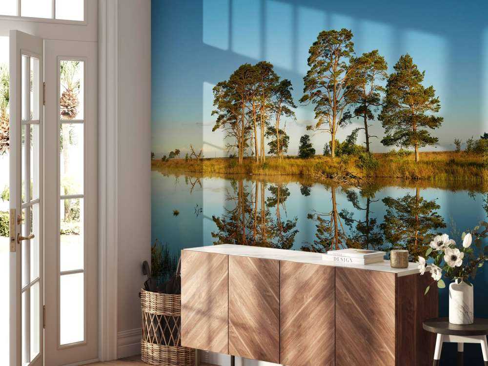 Spiegelung im Waldsee