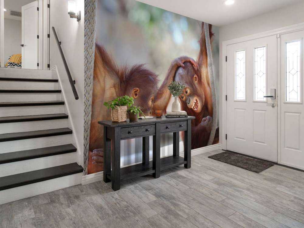 Baby-Orang-Utans