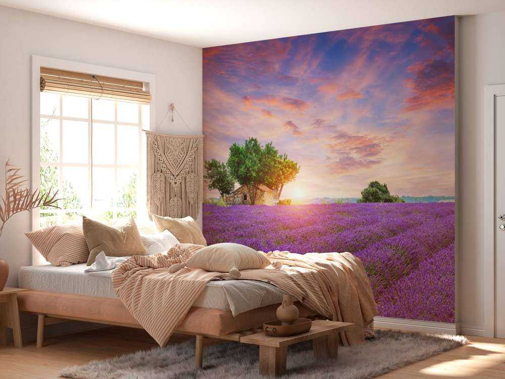 Lavendelfeld bei Sonnenaufgang