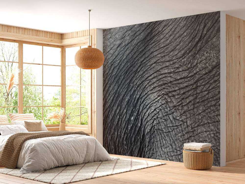 Nahaufnahme Elefantenhaut