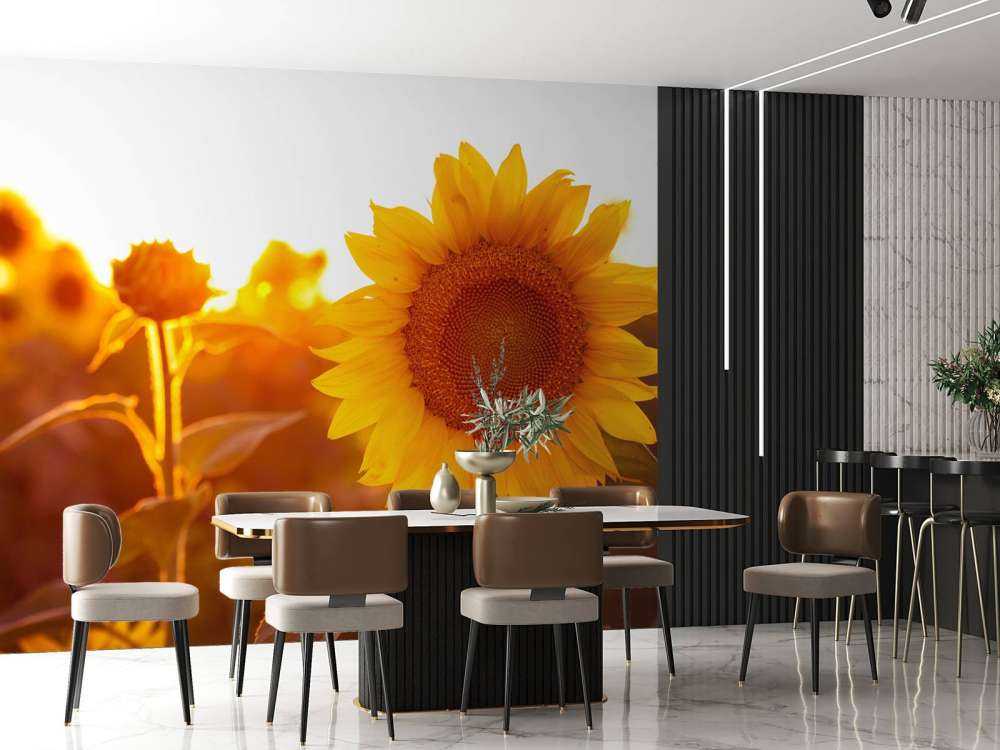 Warmes Sonnenblumenfeld