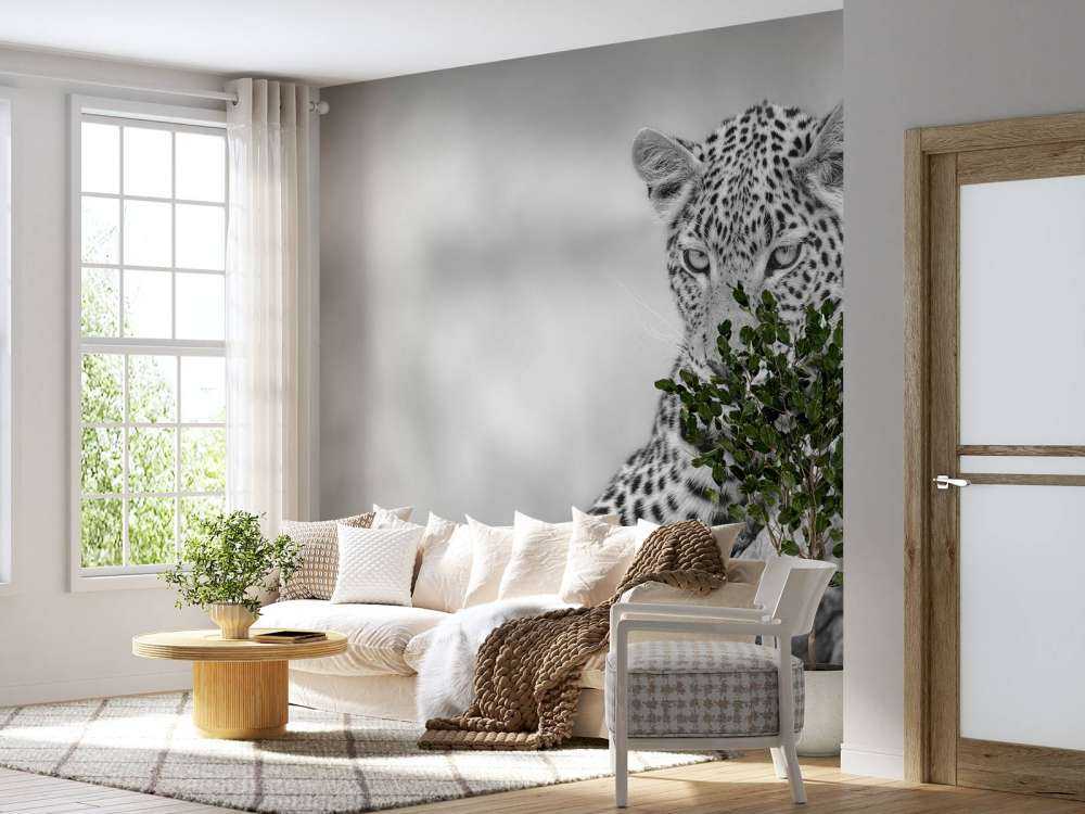 Leopard schwarz, weiß