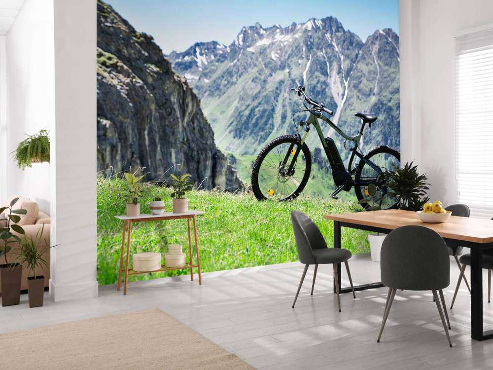 E-Bike in Österreich