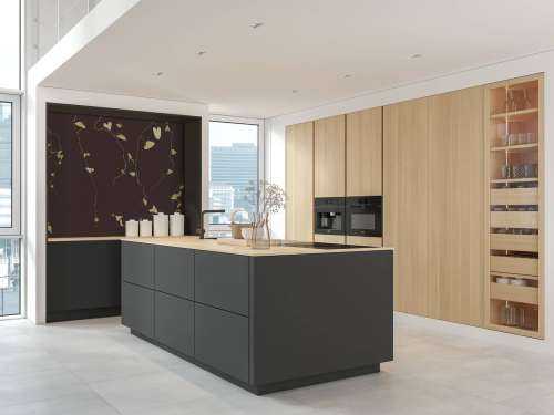 Goldrute aubergine