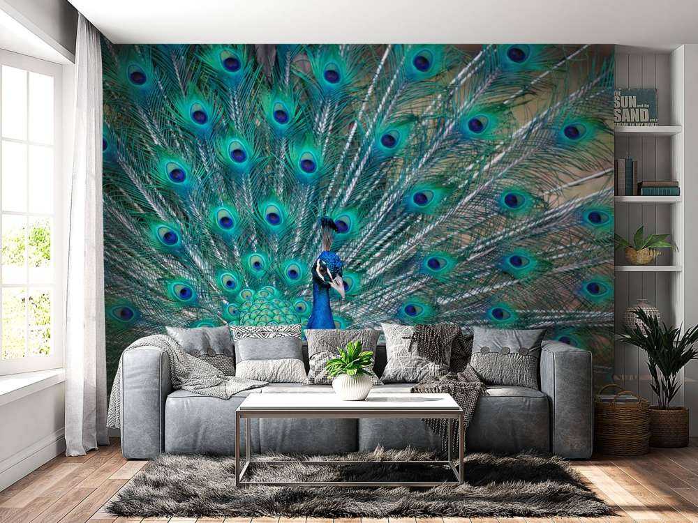 Blauer Pfau