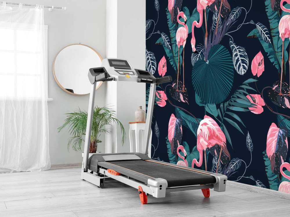 Wilde rosa Flamingos