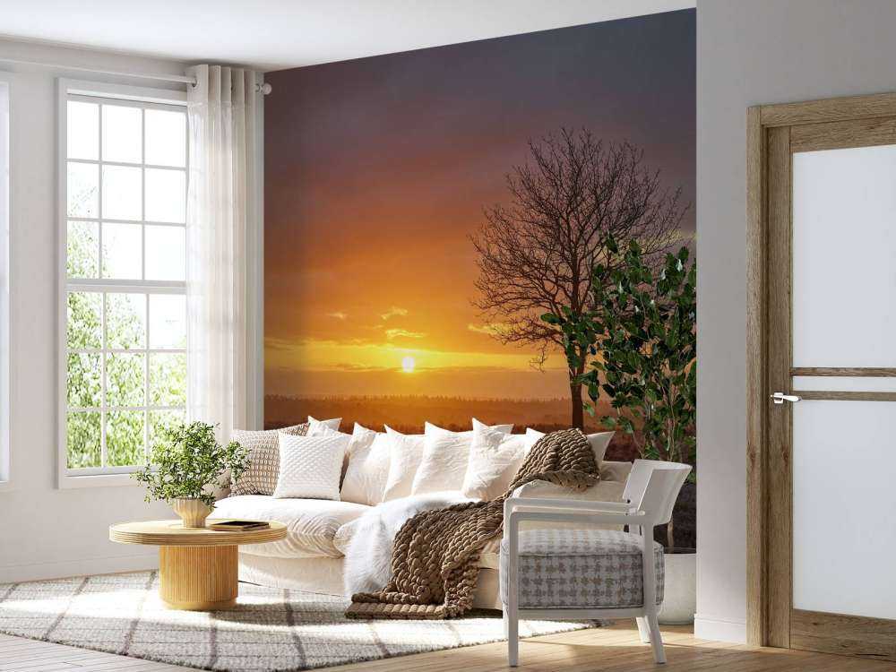 Farbenfroher Sonnenaufgang in der Heide