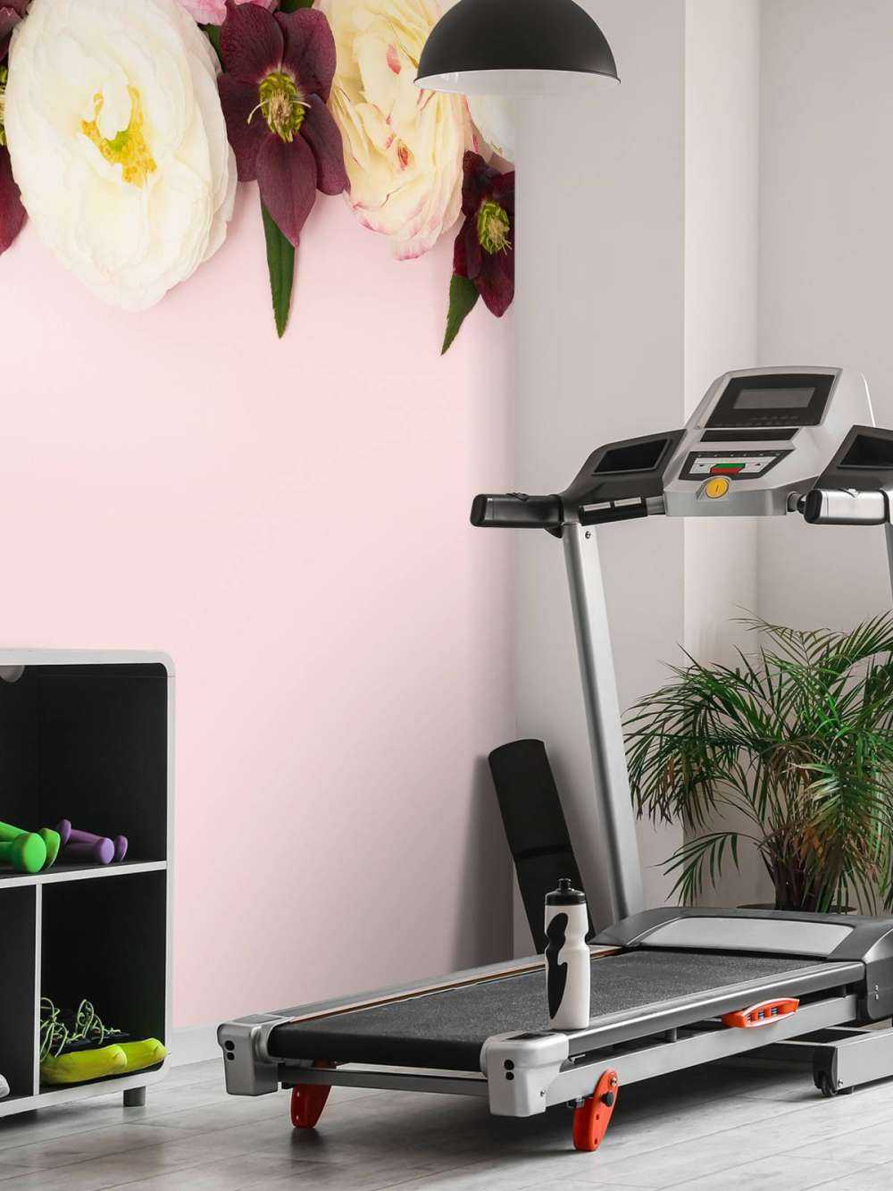 Verschiedenfarbige Blumen