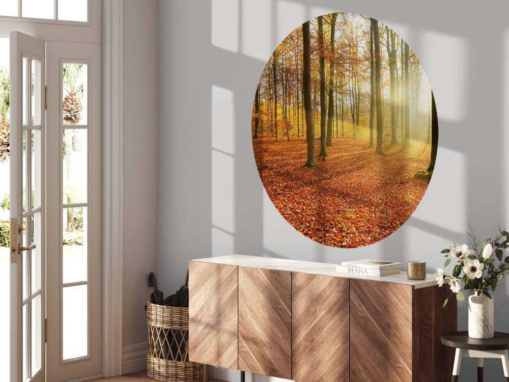 Herbstmorgen im Wald