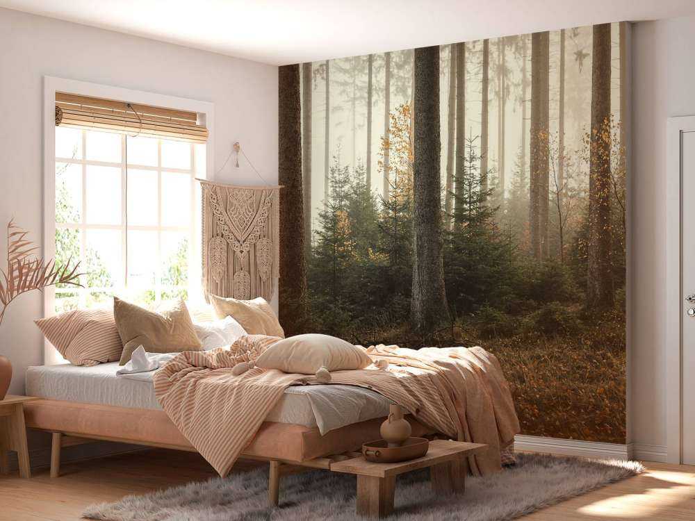 Der Kaufunger Wald