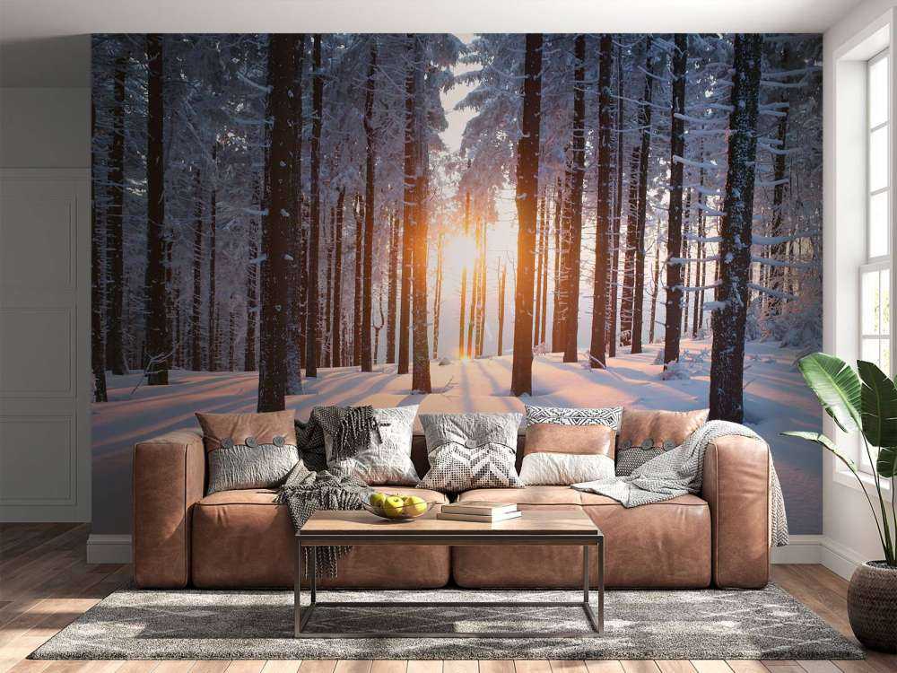 Sonnenuntergang in einem Winterwald