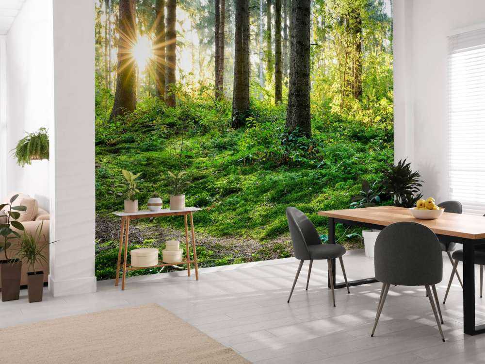 Waldpanorama im Frühling