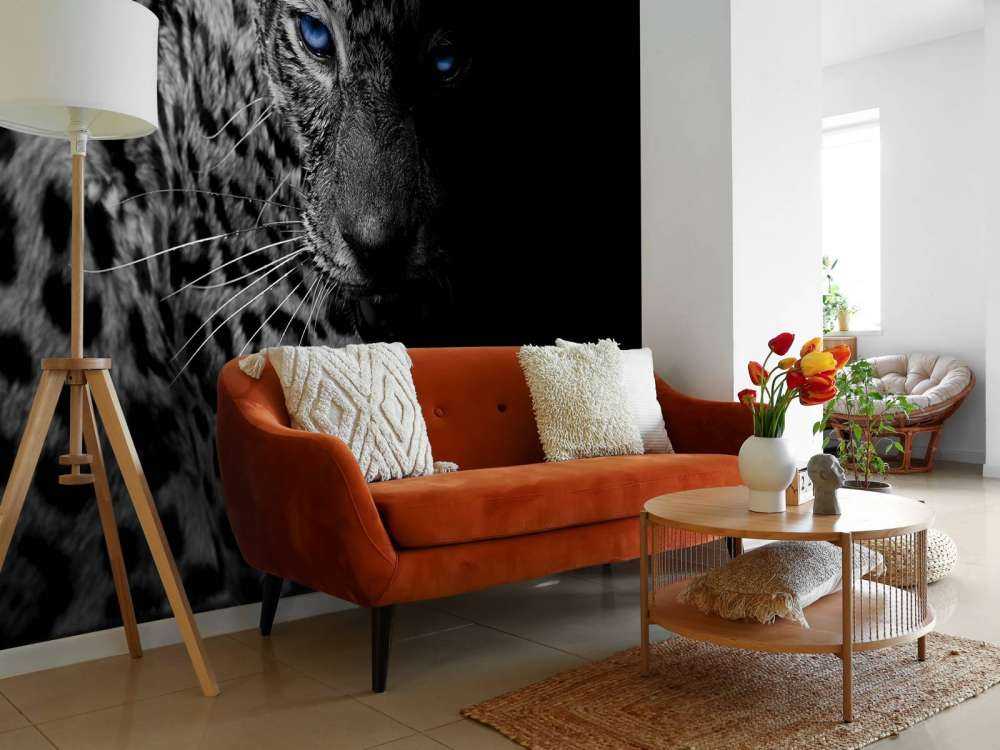 Leopard auf schwarzem Hintergrund