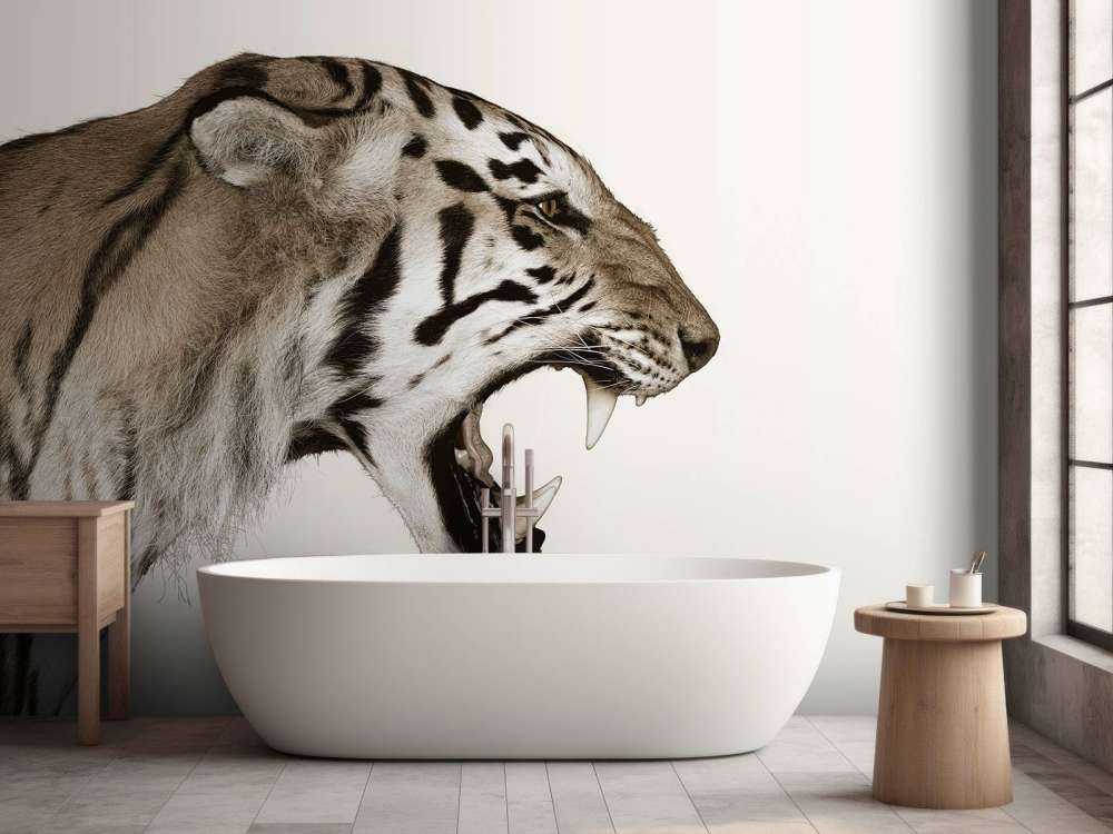 Brüllender Tiger cremefarben