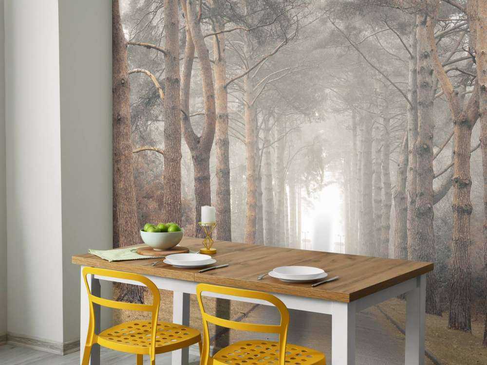 Wald im Nebel