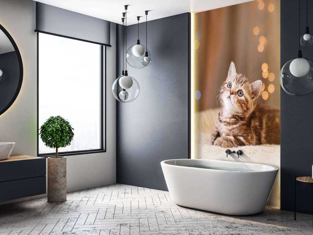 Niedliche Katze