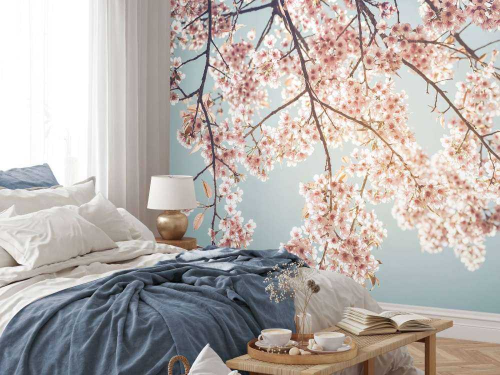 Kirschblüte