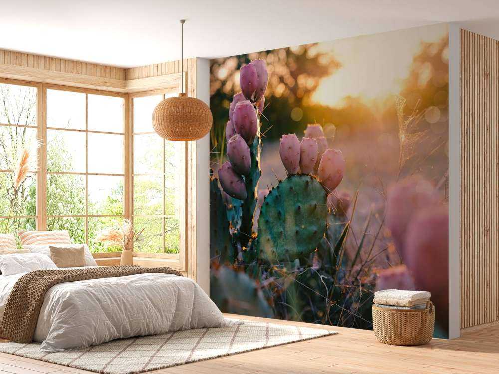 Kaktus mit Blüten
