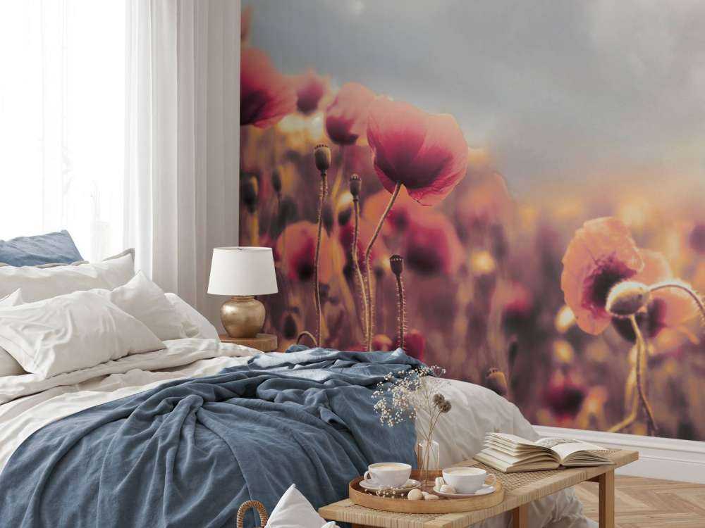 Alte Mohnblumen