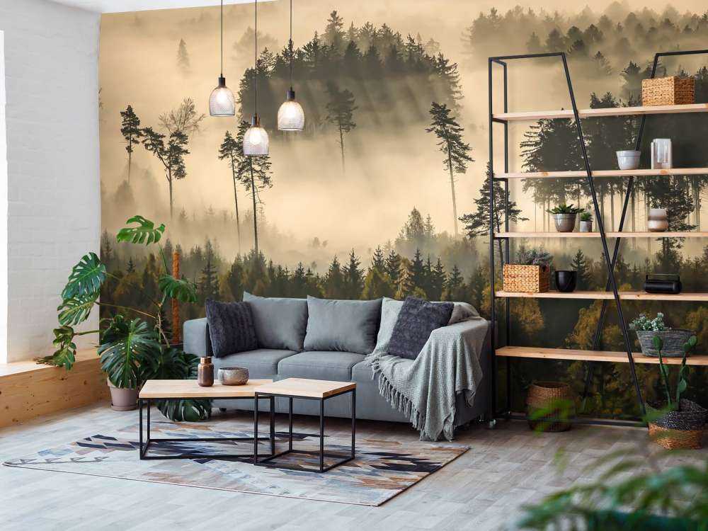 story of the forest