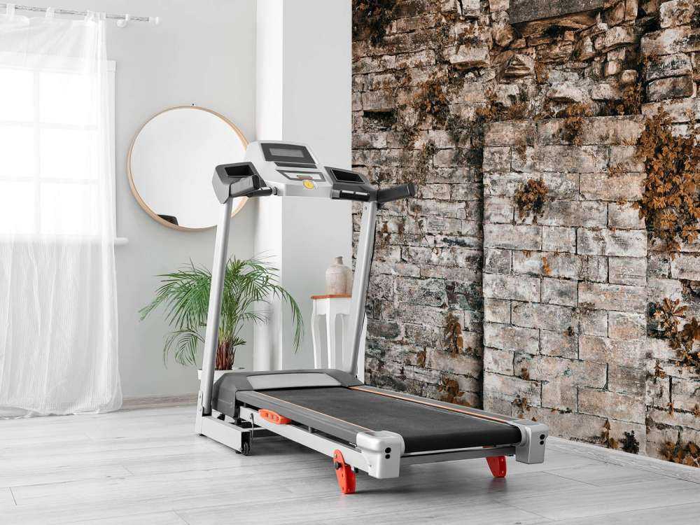 Begrünte Mauer im Herbst