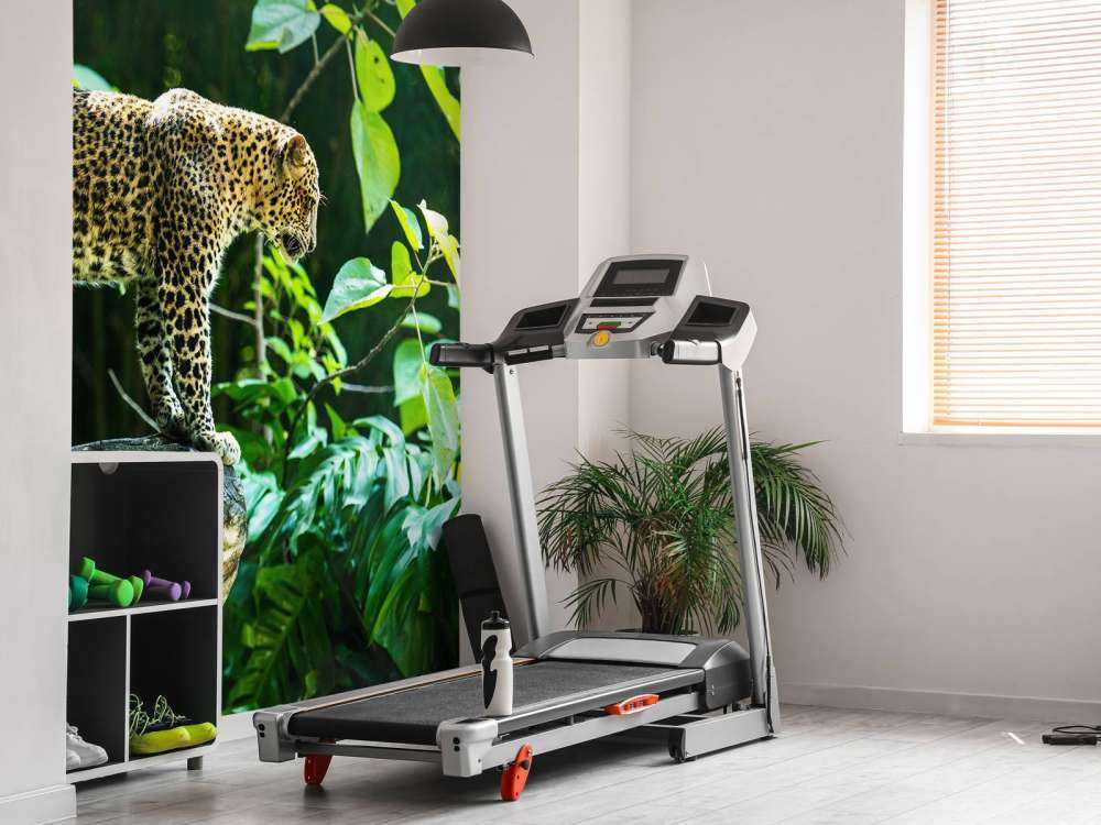 Leopard an einer Felswand