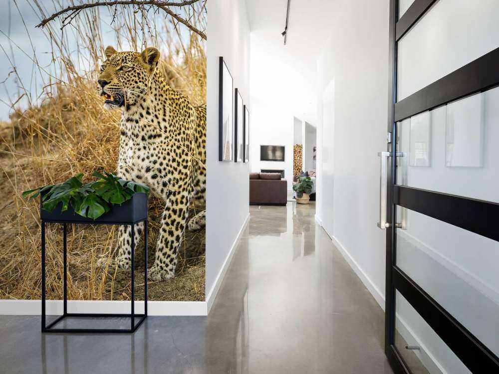Leopard auf der Suche