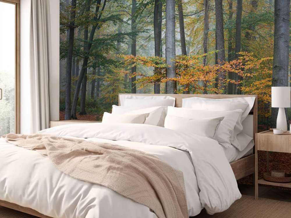 Herbstfarben im nebligen Wald