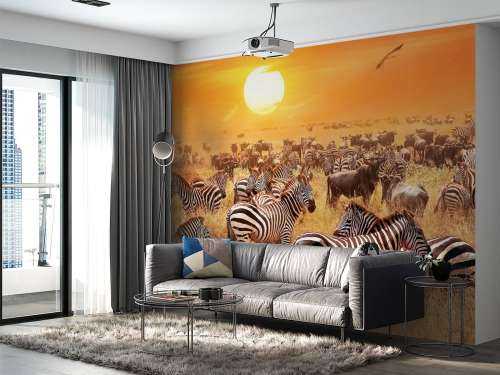 Savannensonne mit Zebras