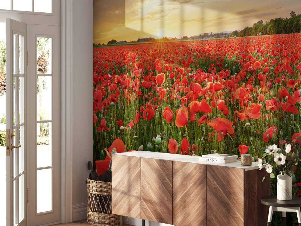 Sonnenuntergang mit Mohnblumen