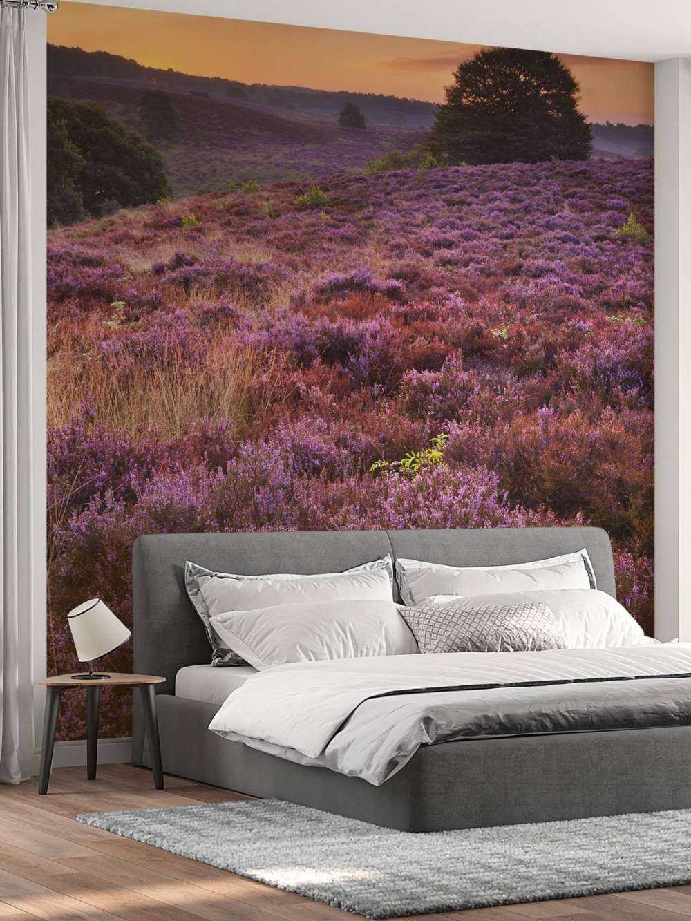 Posbank bei Sonnenuntergang