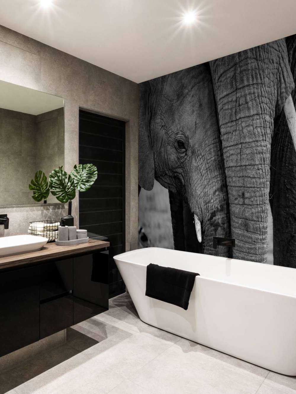 Kuschelnde Elefanten