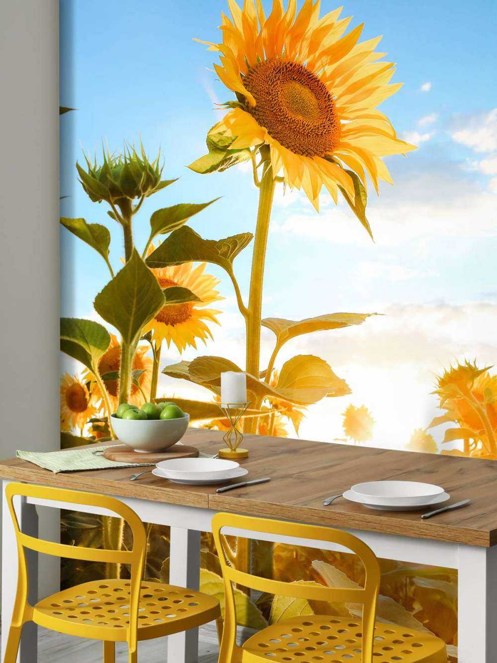 Sonnenblume mit blauem Himmel