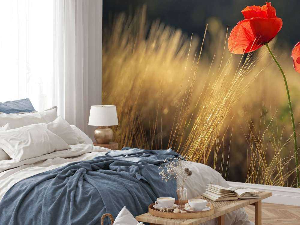 Mohn auf einem Weizenfeld