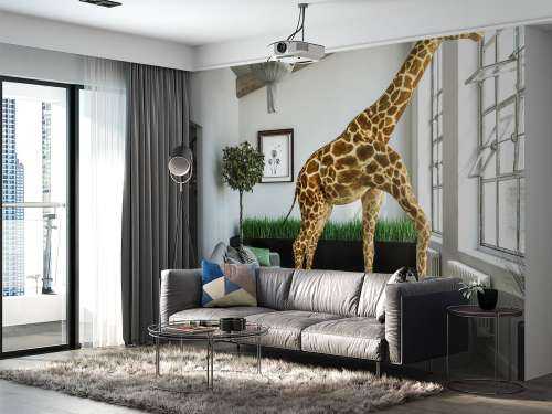 Guckende Giraffe