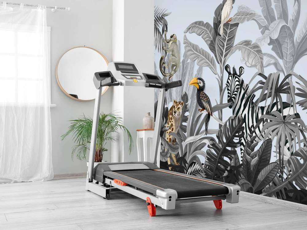 Dschungel voller Tiere