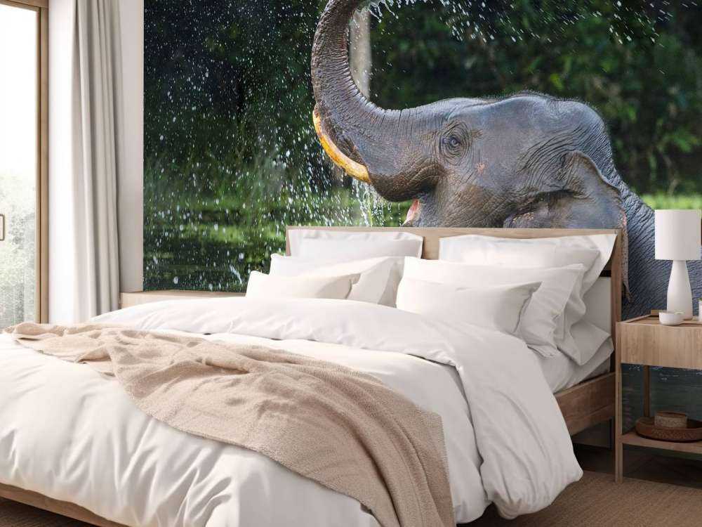 Elefant im Wasser
