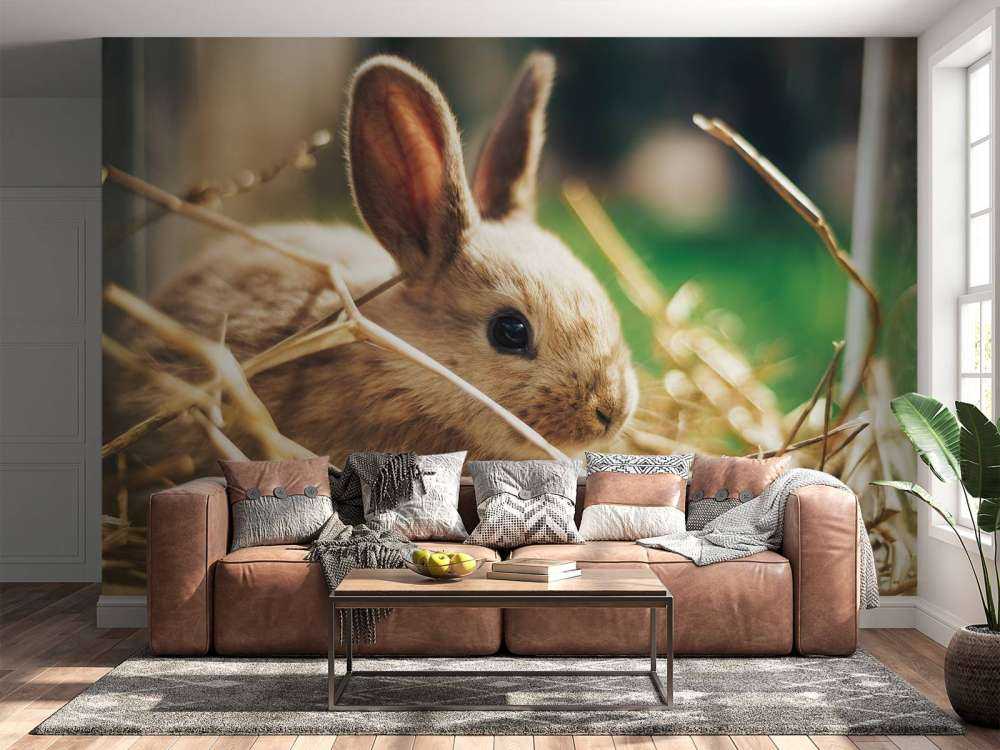 Kaninchen im Stroh