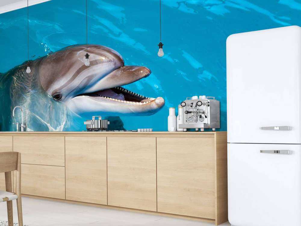 Freundlicher Delfin