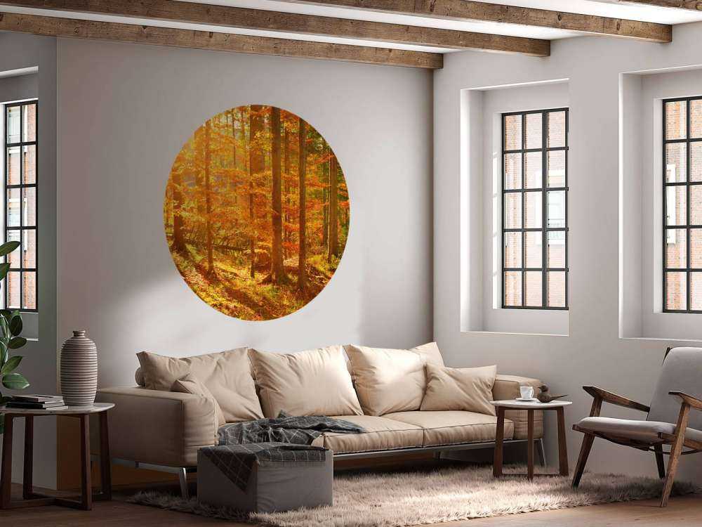Herbst Wald
