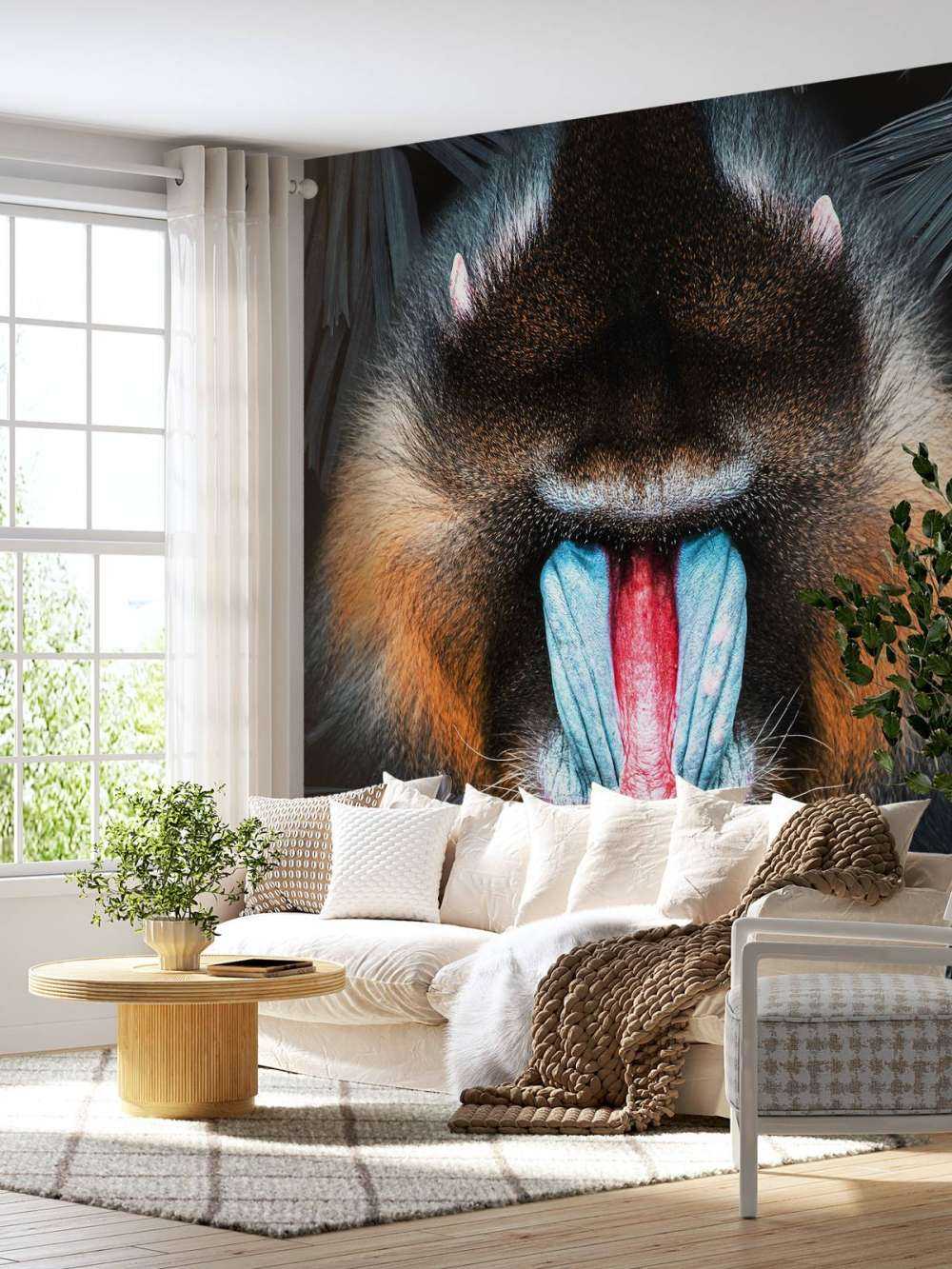 Mandrill Porträt