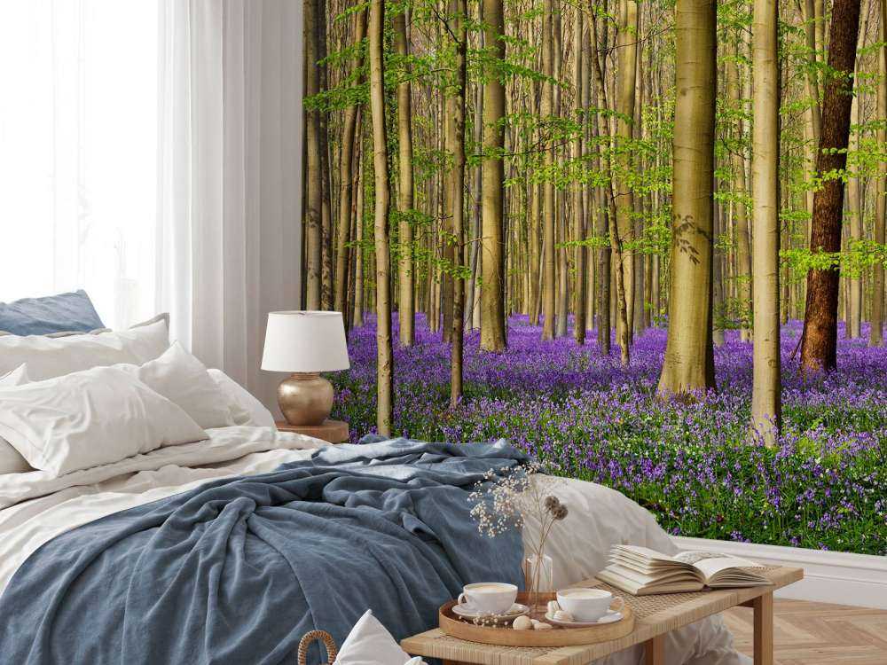 Wald mit Waldhyazinthen