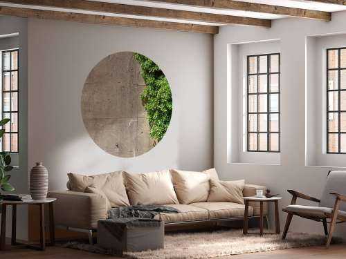 Beton mit Strauch