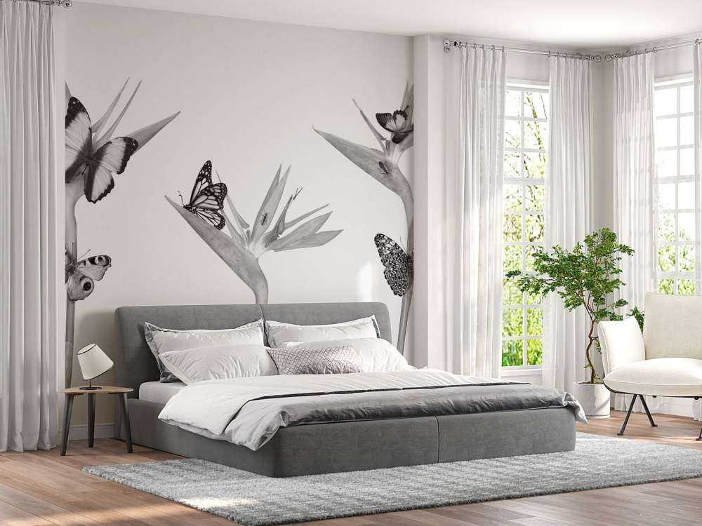 Schmetterlinge auf Paradiesvogelblumen