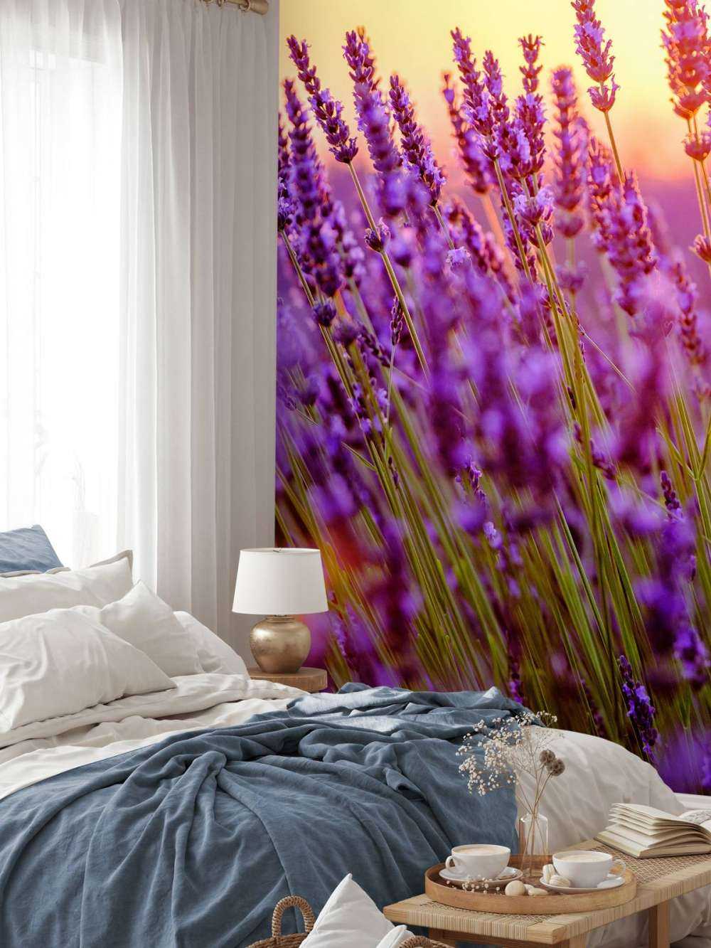 Nahaufnahme Lavendel