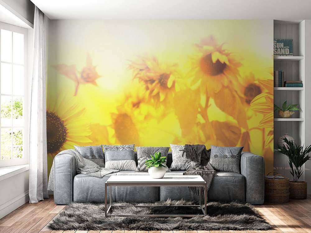 Sonnenblumen-Panorama